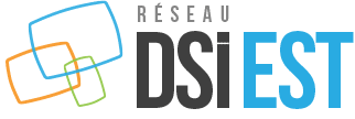 logo du réseau dsiest